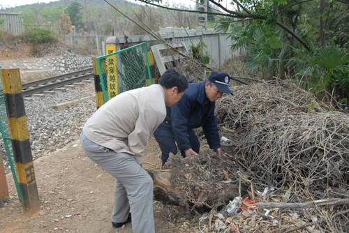 清除路口垃圾