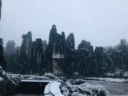 微信图片_20200212145516