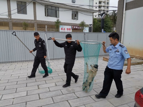 微信图片_20200927160123