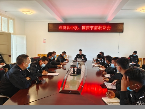 巡特队5