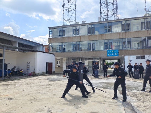 巡特队3