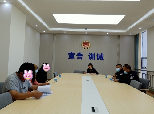 制发家庭教育令