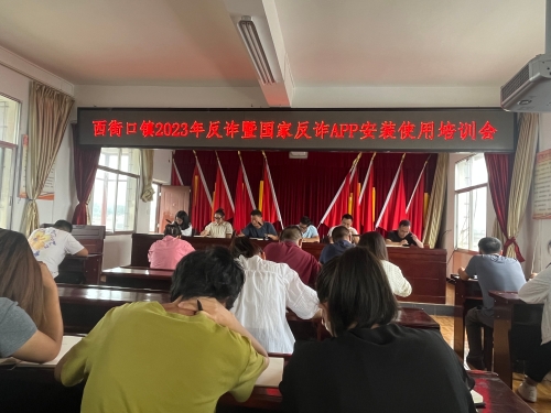 图片 (14)