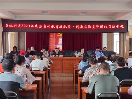 法治微课堂-刑法、治安管理处罚法专题